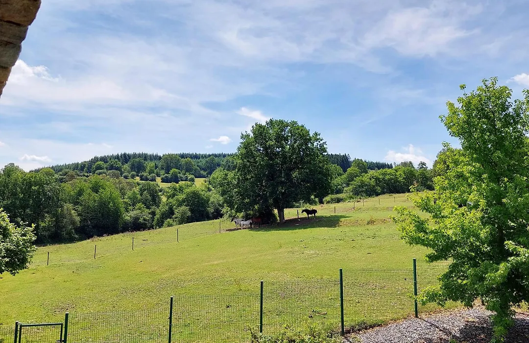 Cha Cha de Loup-B&B-Vakantiewoning met verwarmd binnenzwembad en groot zonneterras in de Ardennen-1
